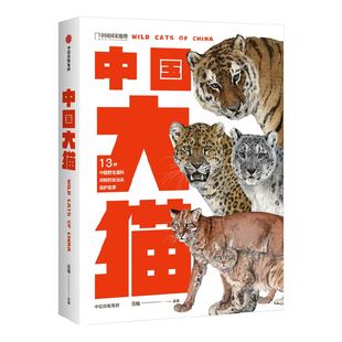 【2022中国好书】中国大猫 吕植著 虎雪豹兔狲荒漠猫等13种中国野生猫科动物全纪录 科学有趣的科普笔记 中信出版社旗舰店