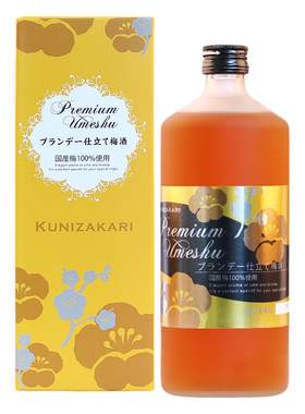 日本进口国白兰地梅酒女士