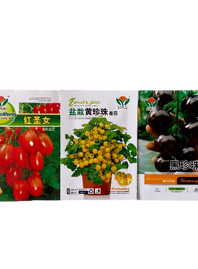 千禧小番茄圣女果西红柿家庭蔬菜种子孑紫茄子四季阳台盆栽小柿子
