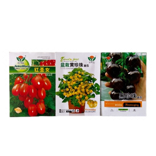 千禧小番茄圣女果西红柿家庭蔬菜种子孑紫茄子四季阳台盆栽小柿子