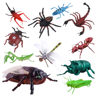儿童仿真昆虫模型动物玩具蜜蜂蝴蝶草蜢螳螂七星瓢虫男孩女孩礼物