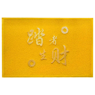 金黄色地垫丝圈入户门垫店铺门口进门防滑脚垫子踏者生财地毯定制