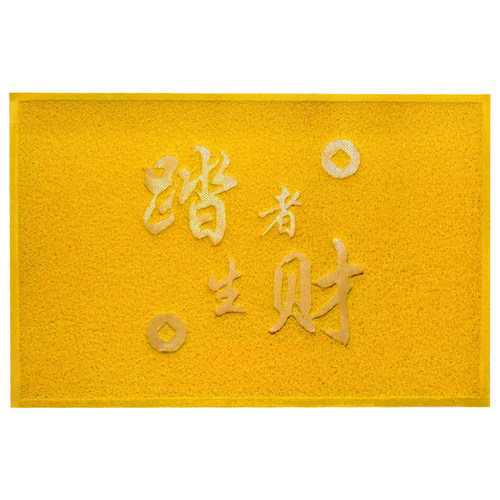金黄色地垫丝圈入户门垫店铺门口进门防滑脚垫子踏者生财地毯定制