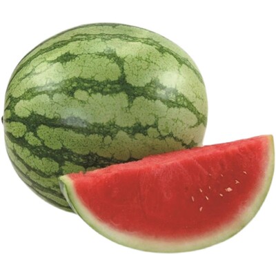 春季早熟嫁接西瓜苗8424麒麟瓜