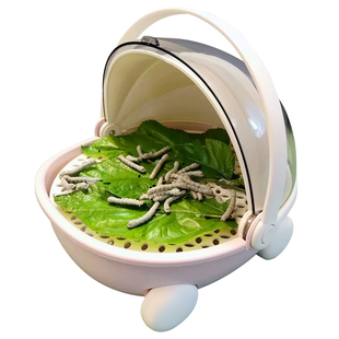 无菌蚕宝宝小学生养蚕套装太空舱产卵巨蚕宝宝蚕虫学生养蚕盒子卵