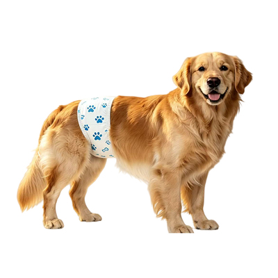 大型犬公狗专用纸尿裤加大超大码