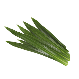 海南斑斓叶新鲜食用香兰叶千层蛋糕原料摆盘装饰烘焙奶茶班兰叶子