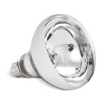 雷士照明浴霸灯泡卫生间取暖灯275W防水防爆浴室专用中间led球泡