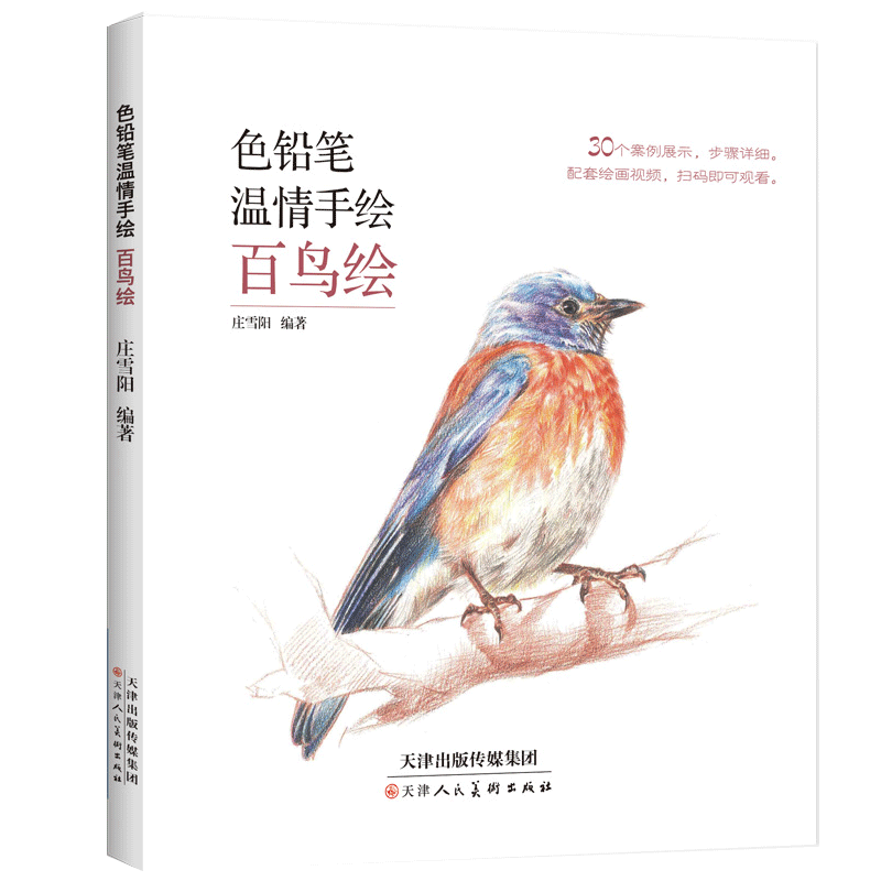 色铅笔温情手绘百鸟绘画画书教材美术教程新手自学教程天津人民美术出版社 天美少儿