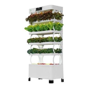 智能蔬菜种植机家庭水培立体全自动种菜专用设备无土栽培花盆神器