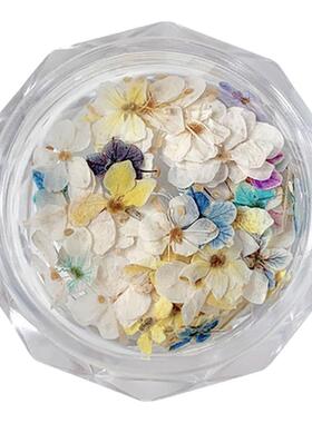 网红莫奈花园系列干花美甲饰品
