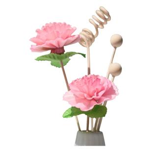 无火藤条扩香木棒香薰精油通草花挥发棒配件熏香室内香氛干花组合