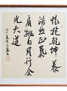 手写书法怀抱乾坤养浩然正气侘寂风客厅玄关禅意字画书房茶室挂画