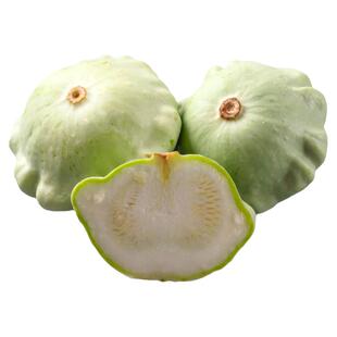 本宁斯绿色调扇贝南瓜种子浓郁鲜嫩高产易种植传家宝春秋室内盆栽