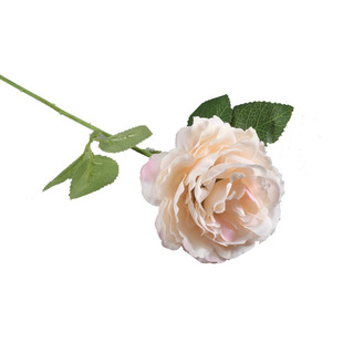 婚庆香槟系花材防真绢花文心兰玫瑰绣球花头平安叶吊顶路引插花材