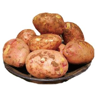 云南红皮土豆黄心大土豆粉糯土豆洋芋农家种植新鲜带箱9斤包邮装