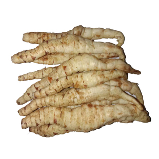 新鲜高产地参种子种苗虫草参泽兰参地笋银条菜非宝塔菜山野菜特菜