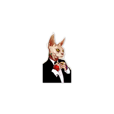 tlp反光车贴无毛猫斯芬克斯拟人