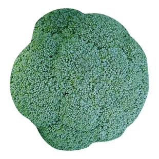 西兰花种籽西兰花种子西南青花菜种籽花籽孑西蓝花秋天秧苗菜种