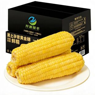 开源保丰【铝箔装】黄糯玉米250-270g*8支