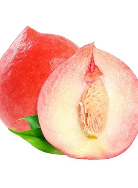 早熟高产水蜜桃树苗四季可