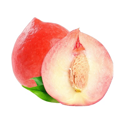 早熟高产水蜜桃树苗四季可