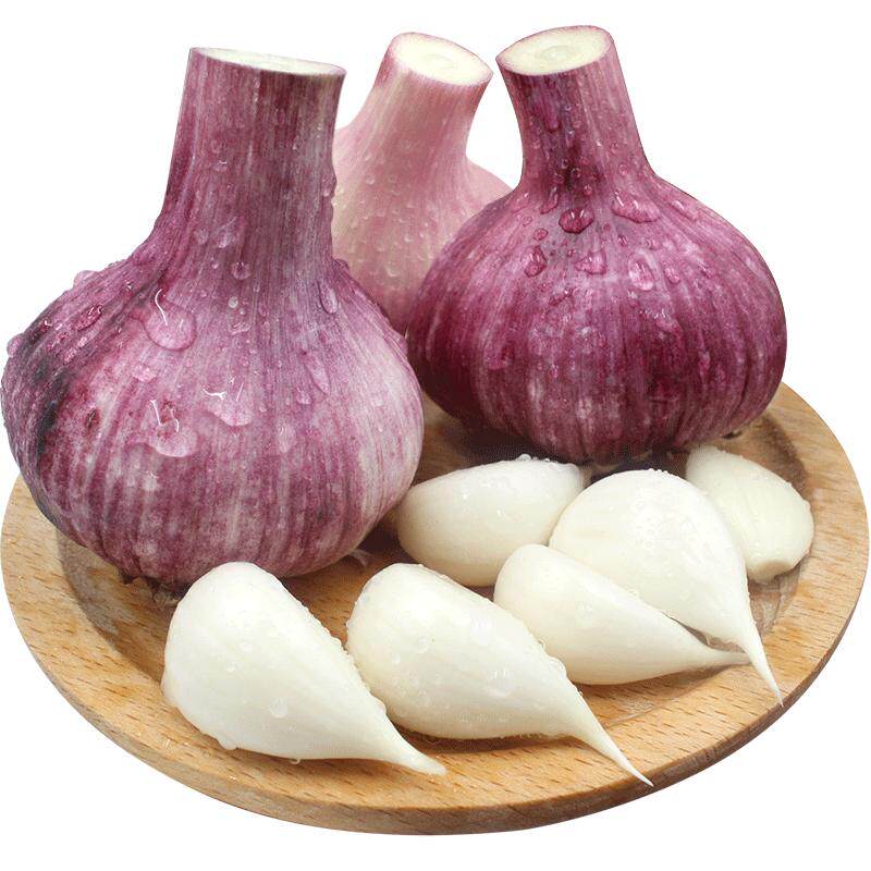 正宗2026年新鲜现晒干蒜头