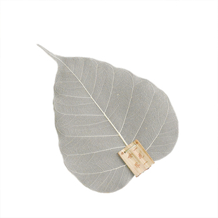 天然树叶菩提叶脉茶滤茶漏茶渣过滤网创意滤茶器功夫茶配件