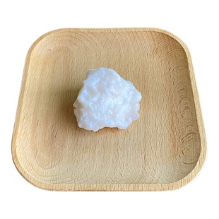 【10年太岁老店】长白山野生千年石太岁土太岁肉灵芝不掉渣20g