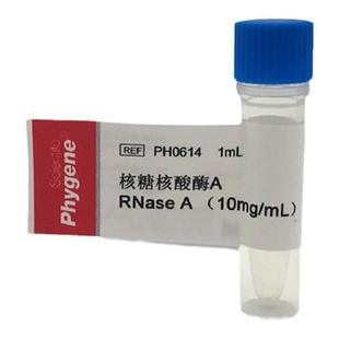核糖核酸酶A 1mL RNase A 10mg/mL RNA酶 [PH0614 PHYGENE]