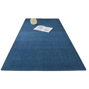 包豪斯蓝卧室氛围感地毯直播间商用拍照深蓝色地垫大面积全屋通铺