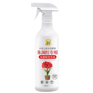 朱顶红营养液种球肥料开花朱顶红专用肥免稀释液体肥水溶肥