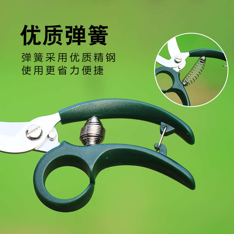 园艺迷你修花小剪刀养花多肉植物枝叶修剪园林修枝剪小花剪