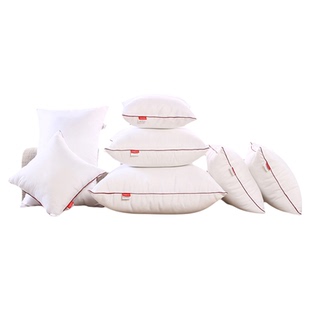 抱枕芯内胆芯内芯靠垫芯45x45cm抱枕心50x50沙发客厅靠背芯靠枕芯