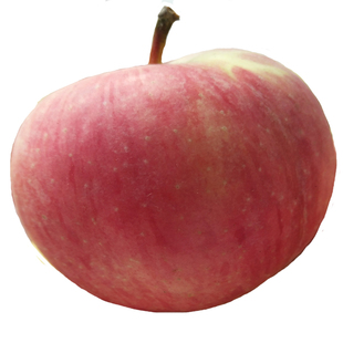 国光苹果正宗5斤新鲜应季鲜果农家自产酸甜老树国光孕妇水青果光