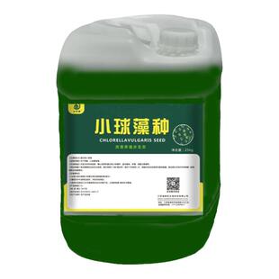 小球藻藻种绿水培养基饲料鱼食藻种复合藻种肥水培藻增氧水产养殖