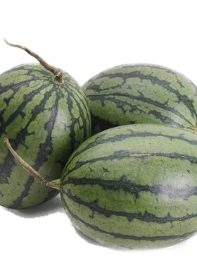 【小汤山】牛奶小西瓜（1粒）约1.25kg 优选直采新鲜水果宅配到家