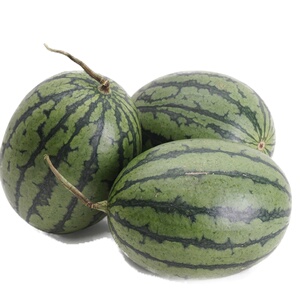 【小汤山】牛奶小西瓜（1粒）约1.25kg 优选直采新鲜水果宅配到家