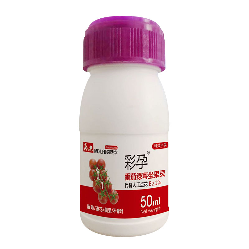 彩孕番茄绿萼坐果灵西红柿圣女果授粉剂喷花药点花药授粉座果灵