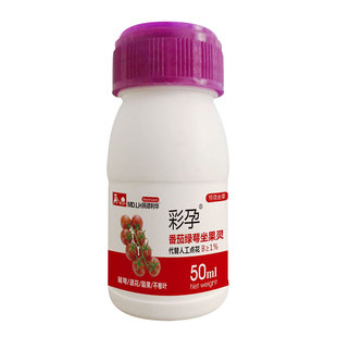 彩孕番茄绿萼坐果灵西红柿圣女果授粉剂喷花药点花药授粉座果灵