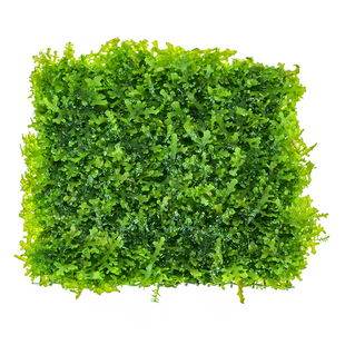 珊瑚莫斯水草淡水植物散装莫丝造景坪树鱼缸慕斯绑沉木杜鹃根阴性