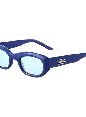 【王栎鑫同款】PLASTIC BRAIN复古窄框猫眼墨镜简约百搭太阳镜