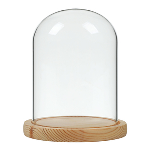 促销永生花玻璃罩干花透明展示盒人偶圣诞树积木手模手办防尘罩