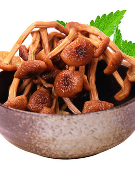 新货农家精选干货茶树菇