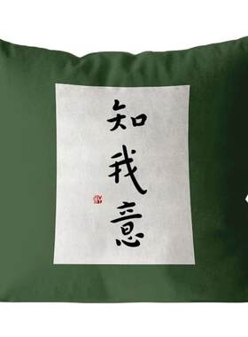 新中式禅意抱枕客厅沙发靠垫茶室