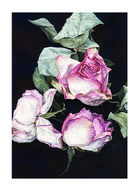 范兆辉【人间草木—花①】限量签章版画花卉装饰画带装裱45*60cm