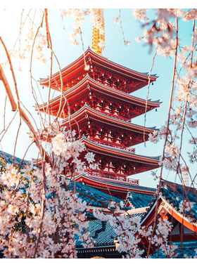 日本三年北京拒签退款高出