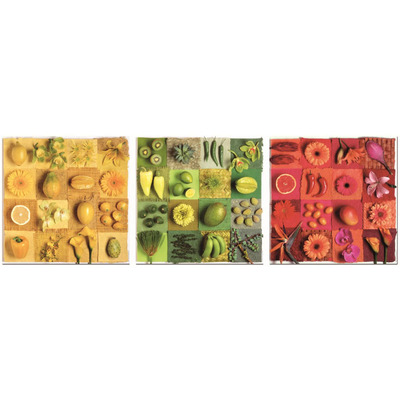 educa水果西班牙进口拼图现货