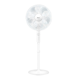 格力风扇落地扇家用轻音电风扇五叶扇办公室定时立式2025新款宿舍