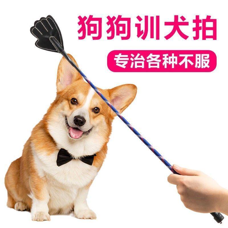 皮质训犬拍狗狗训练棒爱心拍不伤宠物训导用品